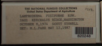 Image Associated With the Occurence